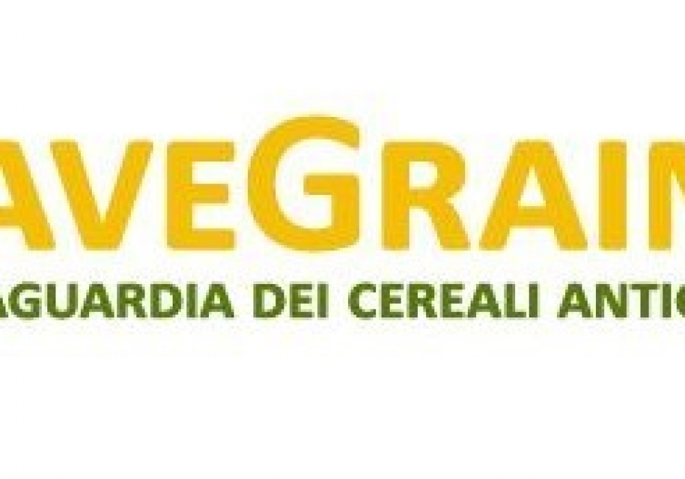 SaveGrain-CER – Biodiversità dei Cereali antichi pugliesi per la sostenibilità e la qualità