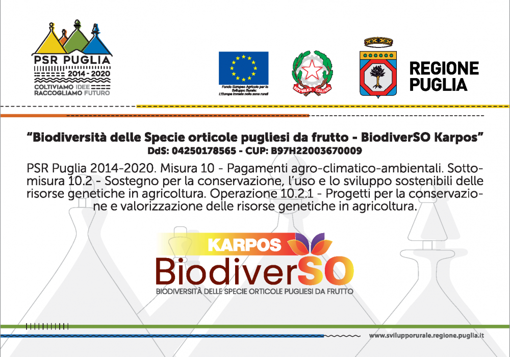 BiodiverSO KARPOS – Biodiversità delle Specie orticole pugliesi da frutto