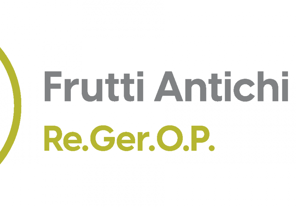 Re.Ger.OP. – Recupero e valorizzazione del germoplasma olivicolo pugliese