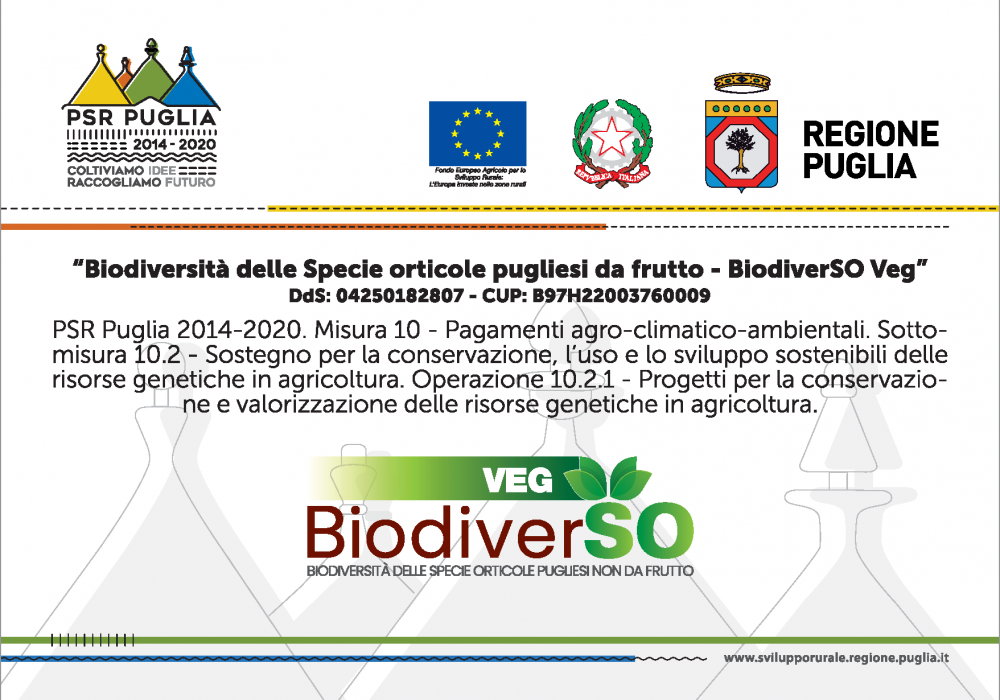 BiodiverSO VEG – Biodiversità delle Specie orticole pugliesi non da frutto